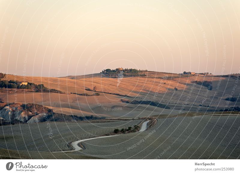 Toskanamorgen Natur Landschaft Wolkenloser Himmel Herbst Schönes Wetter Feld Hügel Straße Wege & Pfade ästhetisch schön braun Crete Morgendämmerung Wellenlinie