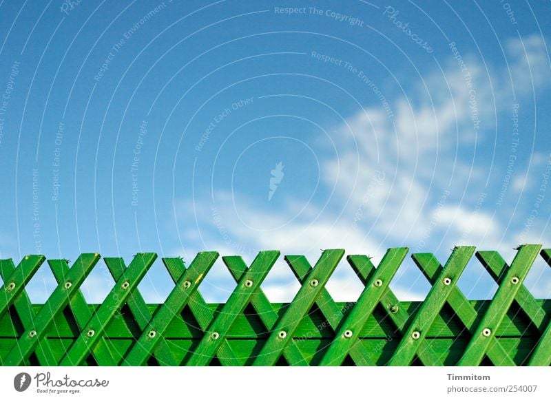 Grüner wird`s nicht! Herbst Himmel Wolken Schönes Wetter Heidelberg Menschenleer Brücke Geländer Holz ästhetisch frisch blau grün Gefühle Freude Schutz Wind