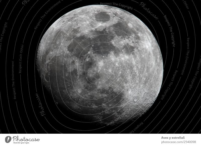 Gibböser Mond Bildung Wissenschaften Schule lernen Schulgebäude Fortschritt Zukunft Natur Himmel nur Himmel Nachthimmel Vollmond fliegen Coolness exotisch