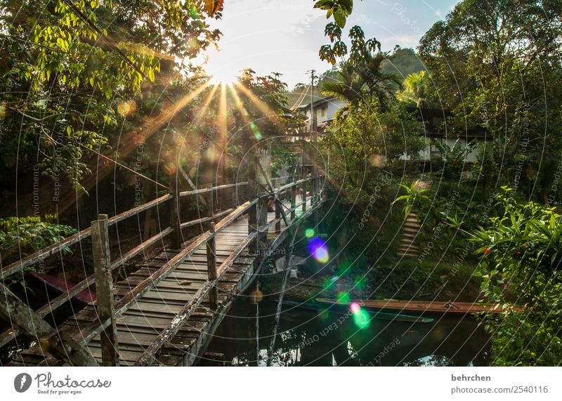 einfach nur sein! Ferien & Urlaub & Reisen Tourismus Ausflug Abenteuer Ferne Freiheit Natur Landschaft Sonne Sonnenaufgang Sonnenuntergang Pflanze Baum