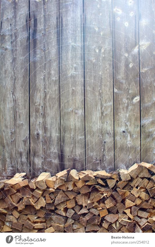 Gleich und gleich gesellt sich gern Wohnung Natur Haus Gebäude Mauer Wand Holz Arbeit & Erwerbstätigkeit warten kalt grau sparsam Beginn Bewegung planen