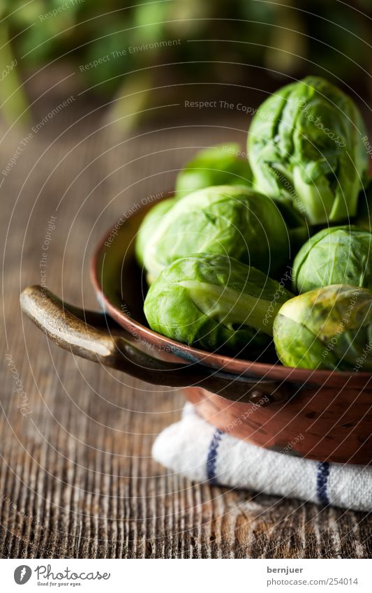 Rosenstolzkohl Lebensmittel Gemüse Schalen & Schüsseln Topf Ehrlichkeit Selbstständigkeit Rosenkohl Kohl röschen kohlröschen Kupfer Küchenhandtücher