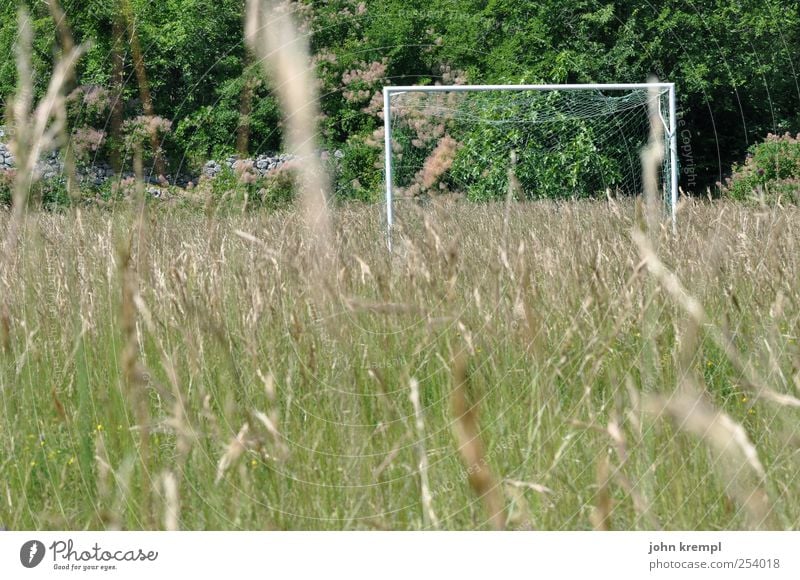 Wo ist Theodor? Sport Ballsport Fußball Sportstätten Fußballplatz Umwelt Pflanze Baum Gras Garten Park Wiese Blühend Spielen Wachstum wild grün Freizeit & Hobby