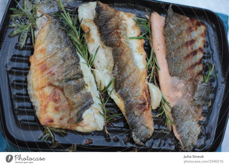 Fisch Pfanne Rosmarin Kräuter & Gewürze Lachsforelle Mittagessen Abendessen gebraten grillen aromatisch Essen lecker Farbfoto Außenaufnahme Tag Vogelperspektive