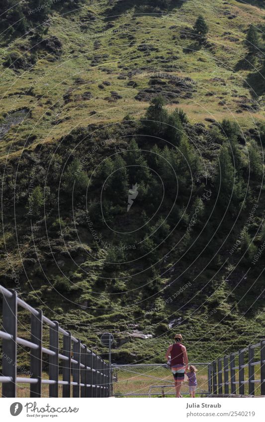 Brücke Berge spazieren Schweiz maskulin feminin Mädchen Mann Erwachsene Vater 2 Mensch 1-3 Jahre Kleinkind 30-45 Jahre Natur Sommer Schönes Wetter Baum Gras