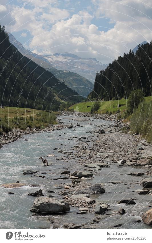 Schweiz Fluss Berge Natur Landschaft Himmel Wolken Sommer Schönes Wetter Baum Gras Hügel Felsen Berge u. Gebirge groß blau grau grün Ferien & Urlaub & Reisen