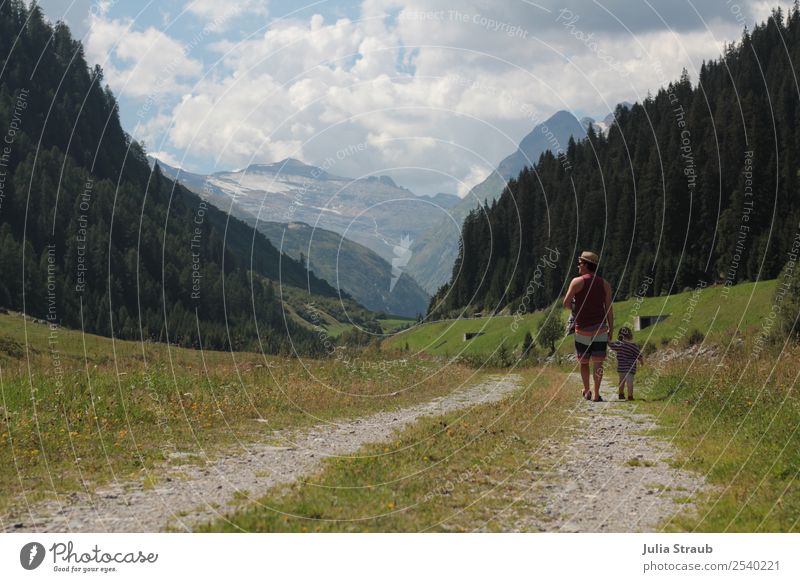 spazieren Schweiz Wald Weg Berge Mädchen Mann Erwachsene 2 Mensch Natur Landschaft Wolken Sonne Sommer Wetter Schönes Wetter Baum Berge u. Gebirge Wege & Pfade