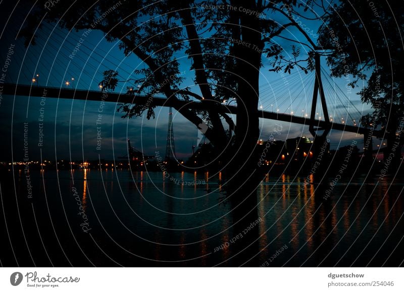 Köhlbrandbrücke III Natur Landschaft Wasser Himmel Nachthimmel Baum Flussufer Stadt Hafenstadt Brücke Bauwerk Verkehrswege Schifffahrt blau Hamburg