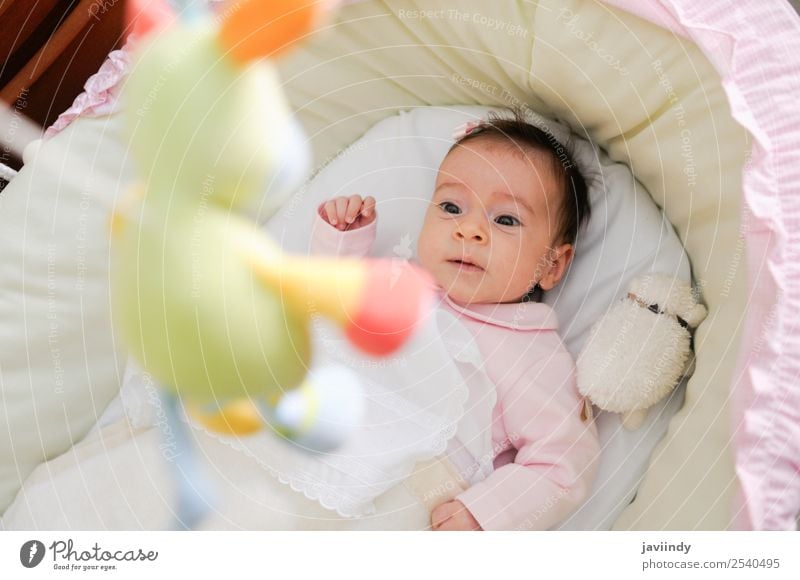 Babymädchen zwei Monate alt, schaut auf eine Puppe. Freude Glück schön Gesicht Leben Kind Fotokamera Mensch Mädchen Kindheit 1 0-12 Monate Lächeln lachen