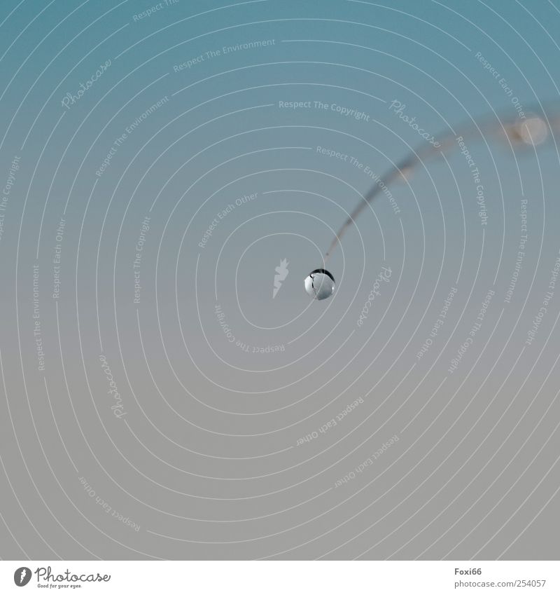 *60* Tauperlen Natur Wassertropfen Wolkenloser Himmel Herbst Klimawandel Tropfen beobachten Erholung träumen Flüssigkeit frisch nass natürlich blau grau weiß