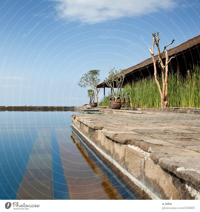 Nyang-Nyang Schönes Wetter Pflanze Haus Mauer Wand Stein Linie Streifen Fernweh Ferien & Urlaub & Reisen Bali Schwimmbad Horizont Reflexion & Spiegelung alt