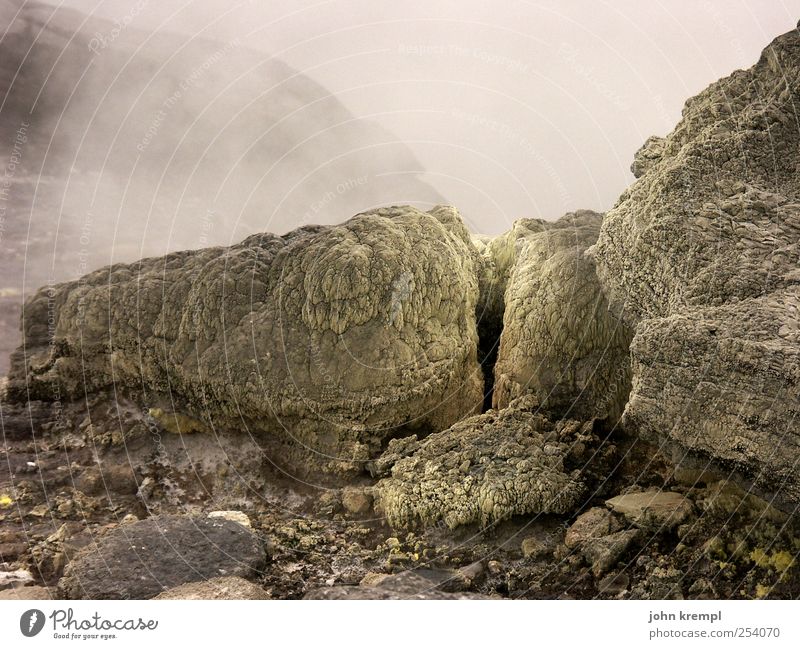 Der Nagel I Felsen Schlucht Geysir Vulkan vulkanisch whakarewarewa Neuseeland Australien + Ozeanien dunkel heiß braun grau Wut bizarr Endzeitstimmung Krise