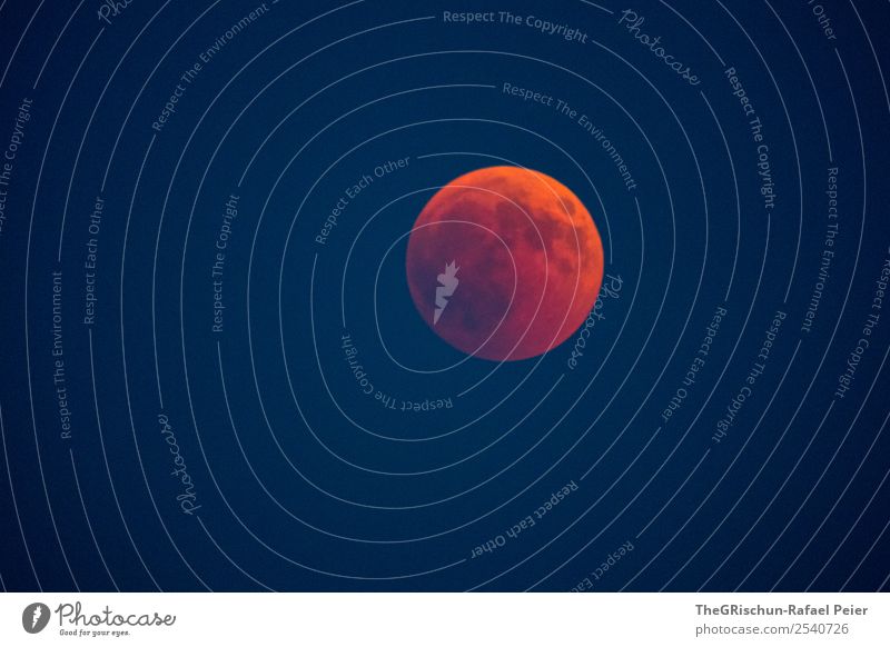 Blutmond Natur blau rot Mond blutmond verwaschen Himmel Weltall Nacht Detailaufnahme Ferne Farbfoto Außenaufnahme Menschenleer Textfreiraum unten