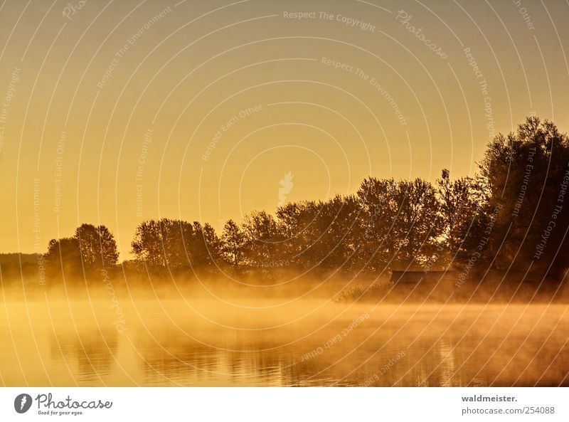 See am Morgen Natur Landschaft Baum Seeufer Hütte Erholung ruhig Idylle Dunst Nebelstimmung Wasser feucht Farbfoto Außenaufnahme Morgendämmerung