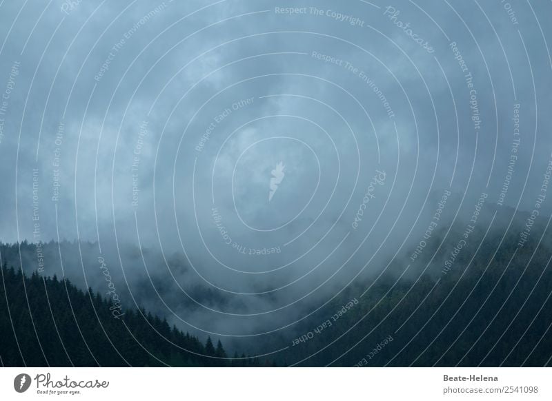 Trübe Zeiten Ausflug Ferne Berge u. Gebirge wandern Umwelt Natur Landschaft Urelemente Himmel Wolken Wetter schlechtes Wetter Nebel Wald