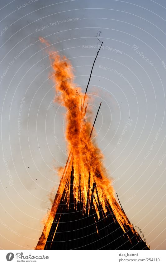 burn Umwelt Natur Urelemente Feuer Himmel Baum Wald Aggression ästhetisch bedrohlich groß gruselig schön blau braun gelb rot schwarz Abenteuer chaotisch