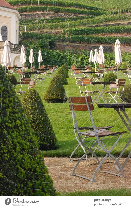 Elbufer Wein Garten Stuhl Tisch Umwelt Natur Landschaft Pflanze Erde Sand Sommer Wetter Schönes Wetter Baum Gras Grünpflanze Park Wiese Hügel Wellen Flussufer