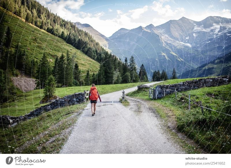 Wanderlust Ferien & Urlaub & Reisen Tourismus Ausflug Abenteuer Ferne Freiheit Sommerurlaub Sport Fitness Sport-Training Frau Erwachsene Alpen Berge u. Gebirge