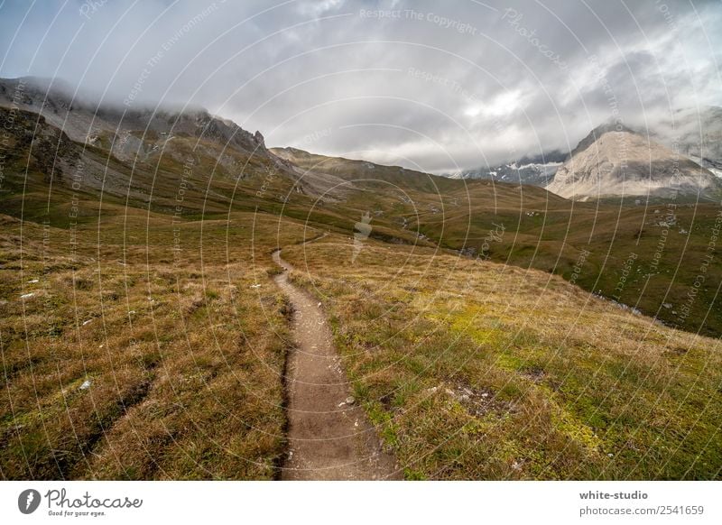 Wanderpfad Umwelt Natur Landschaft wandern Berge u. Gebirge Fußweg grün-gelb Wege & Pfade Menschenleer Hochebene Wanderausflug Wandertag ruhig Erholung