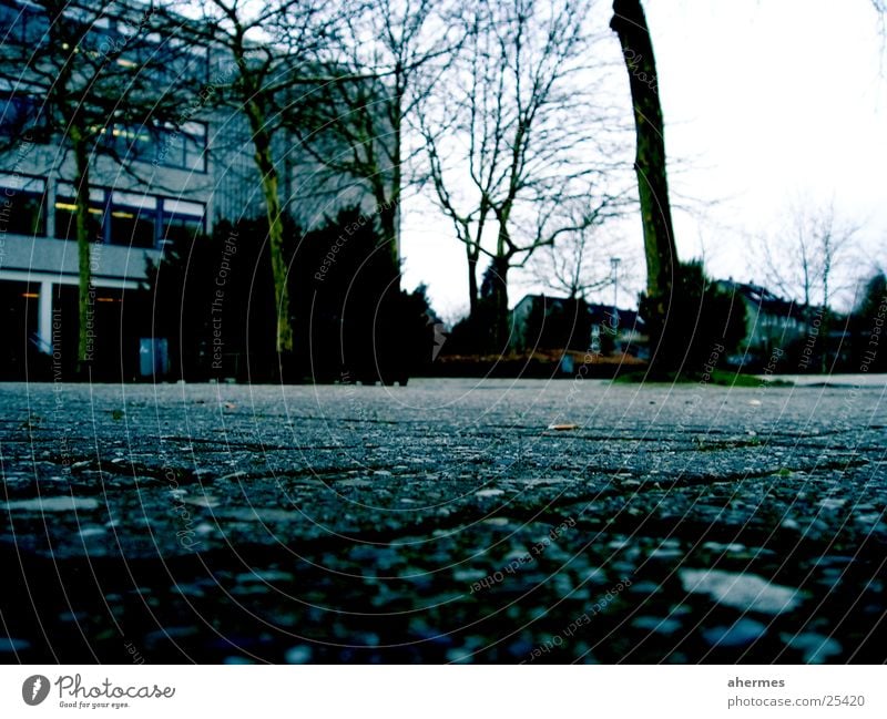 schulhof Oldenburg Baum Schulgebäude trist streng Architektur Gewalt Schulhof BBS-Haarentor Kopfsteinpflaster Langeweile grauenvoll Alltagsfotografie