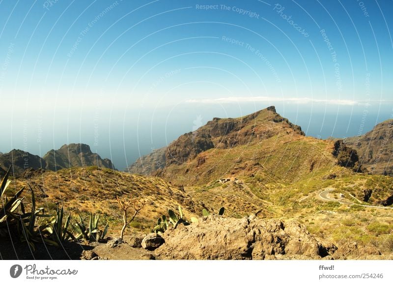 TF-436 Ferien & Urlaub & Reisen Ausflug Ferne Sommer Berge u. Gebirge Teneriffa Umwelt Natur Landschaft Himmel Schönes Wetter Sträucher Felsen Abenteuer