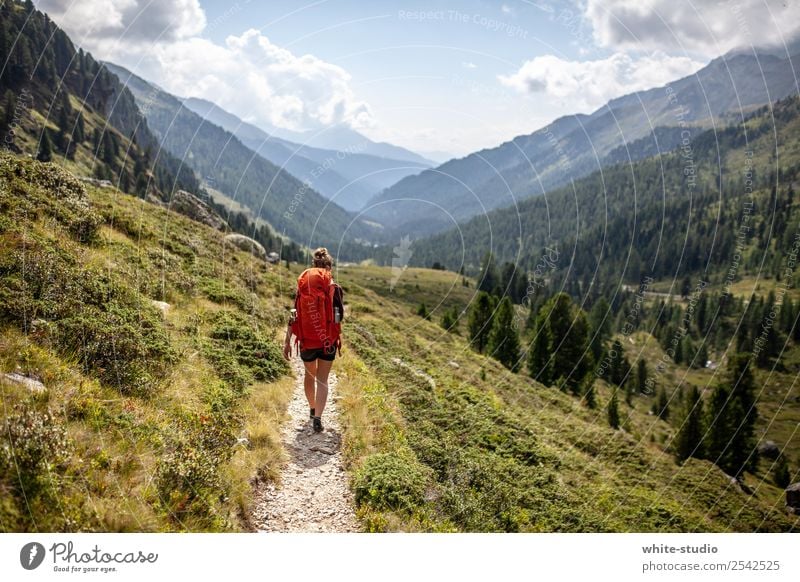 The wanderer Gesundheit sportlich Fitness Ferien & Urlaub & Reisen Tourismus Ausflug Abenteuer Sommer Sommerurlaub Berge u. Gebirge wandern Mensch Frau