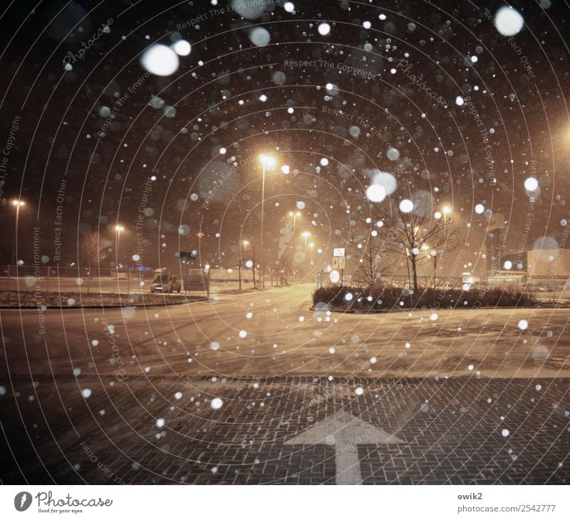 Parkplatzsuche Winter Schneefall Baum Straße Wegkreuzung Parkplatzbeleuchtung Zeichen Pfeil kalt nass Stadt Schneeflocke Einkaufszentrum Laternenpfahl Farbfoto