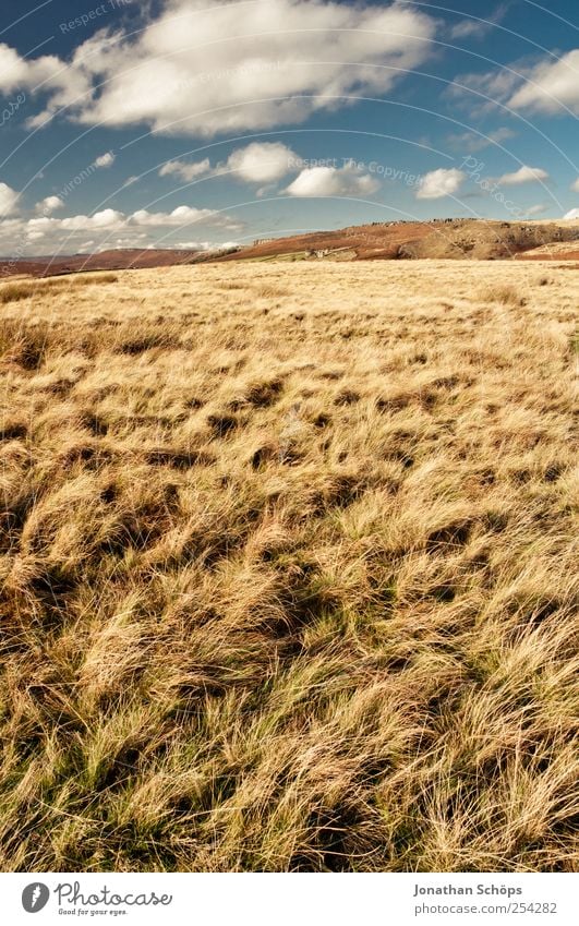 Peak District I Umwelt Natur Landschaft Erde Himmel Sommer Herbst Schönes Wetter Hügel blau braun gelb gold Feld Gras Berge u. Gebirge England Außenaufnahme