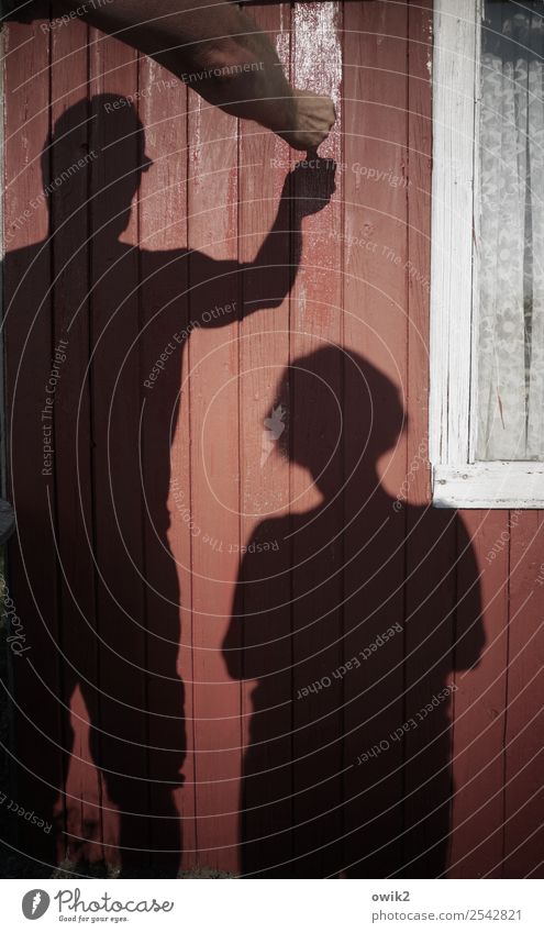 Hausarbeit Freizeit & Hobby Mensch maskulin feminin Frau Erwachsene Mann Familie & Verwandtschaft Paar Partner 2 Gebäude Gartenhaus Mauer Wand Fassade Fenster