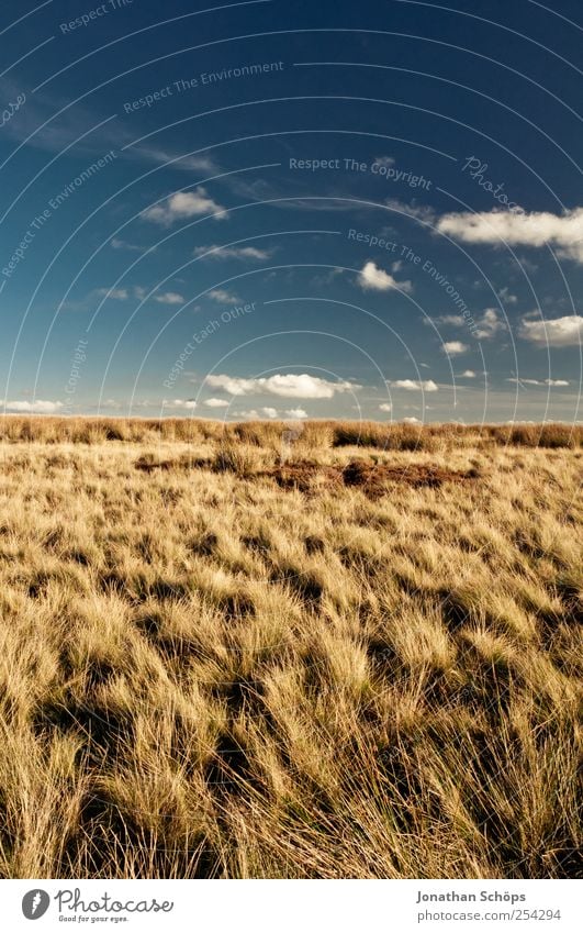 Peak District III Umwelt Natur Landschaft Pflanze Himmel Wolken Klima Wetter Schönes Wetter Wind Feld blau braun gelb gold Zufriedenheit Freiheit Ferne wandern