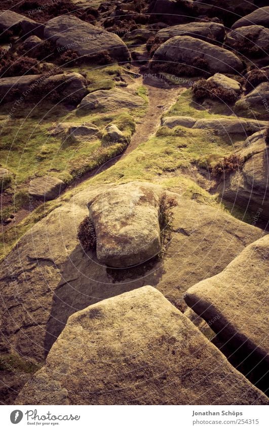 Peak District VII Umwelt Natur Landschaft Pflanze Erde Klima Wetter Hügel Felsen Berge u. Gebirge braun gold grün violett Mut Tatkraft wandern Abenteuer