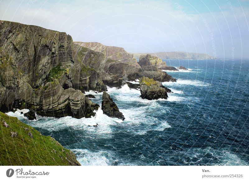 Mizen Head Ferien & Urlaub & Reisen Sommerurlaub Umwelt Natur Landschaft Erde Wasser Himmel Wolken Schönes Wetter Wind Gras Moos Felsen Wellen Küste Bucht Meer