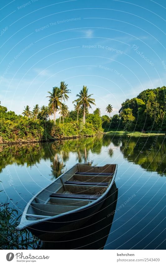 still|leben Ferien & Urlaub & Reisen Tourismus Ausflug Abenteuer Ferne Freiheit Natur Landschaft Pflanze Baum Sträucher Blatt Palme Urwald Flussufer Erholung