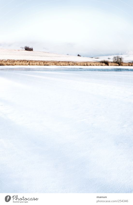 stille Seeidylle Natur Landschaft Wasser Himmel Winter Eis Frost Schnee Baum Sträucher Hügel Seeufer authentisch kalt natürlich ruhig Einsamkeit stagnierend