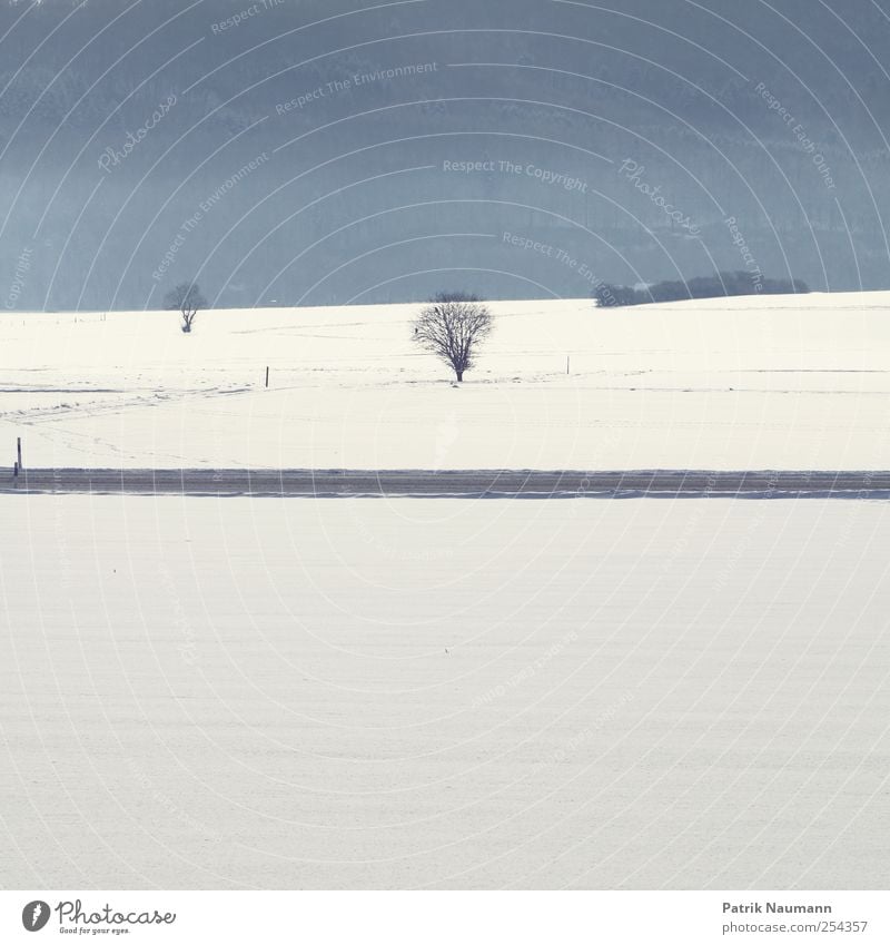 Wintertag Landschaft Klimawandel Eis Frost Schnee Schneefall Baum Feld Verkehrswege Straße Erholung frieren genießen träumen wandern Ferne frei frisch glänzend