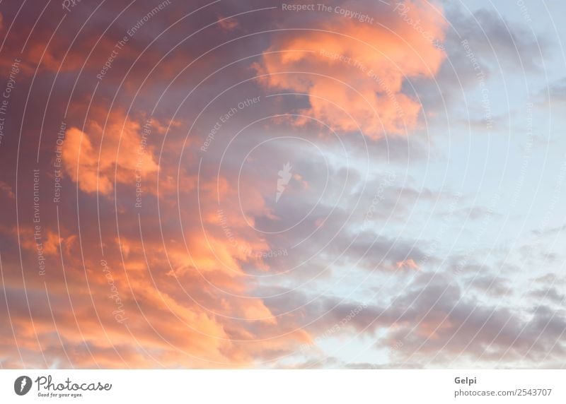 Idyllischer roter Himmel bei schönem Sonnenuntergang Sommer Natur Landschaft Wolken Horizont Wetter dunkel hell natürlich gelb rosa Farbe Idylle orange