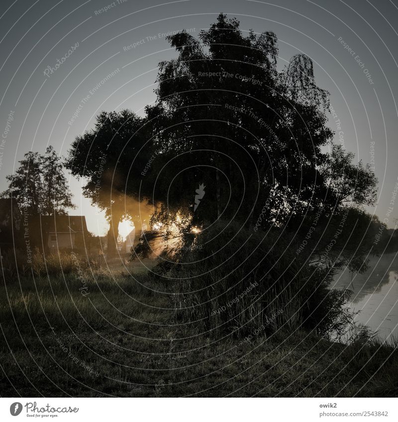 Alles auf Anfang Umwelt Natur Landschaft Luft Wasser Wolkenloser Himmel Horizont Schönes Wetter Baum Gras Sträucher Schilfrohr Röhricht Seeufer Dorf Haus