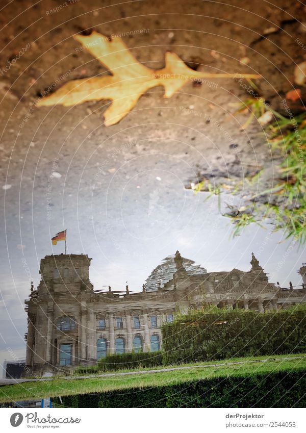 Reichstag in der Spieglung einer Pfütze metropole Freiheit Großstadt Berlin Zentrum Panorama (Aussicht) Sonnenstrahlen urban Schönes Wetter Stadtleben