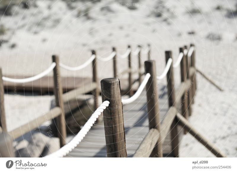 Zum Strand Ferien & Urlaub & Reisen Tourismus Sommer Sommerurlaub Sonne stehen authentisch braun grau Vorfreude Abenteuer Wege & Pfade Steg Farbfoto