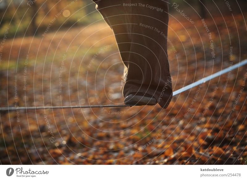 patience Freizeit & Hobby Sport Gleichgewicht Beine Fuß Zirkus Umwelt Schönes Wetter Park Hose festhalten hoch positiv braun gelb gold Optimismus geduldig ruhig