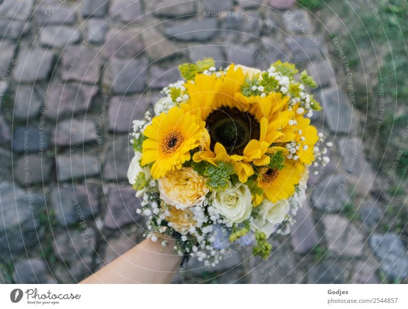 Brautstrauß Mensch Arme 1 30-45 Jahre Erwachsene Natur Pflanze Sommer Herbst Rose Blatt Blüte Sonnenblume Gerbera festhalten Blick Fröhlichkeit natürlich braun