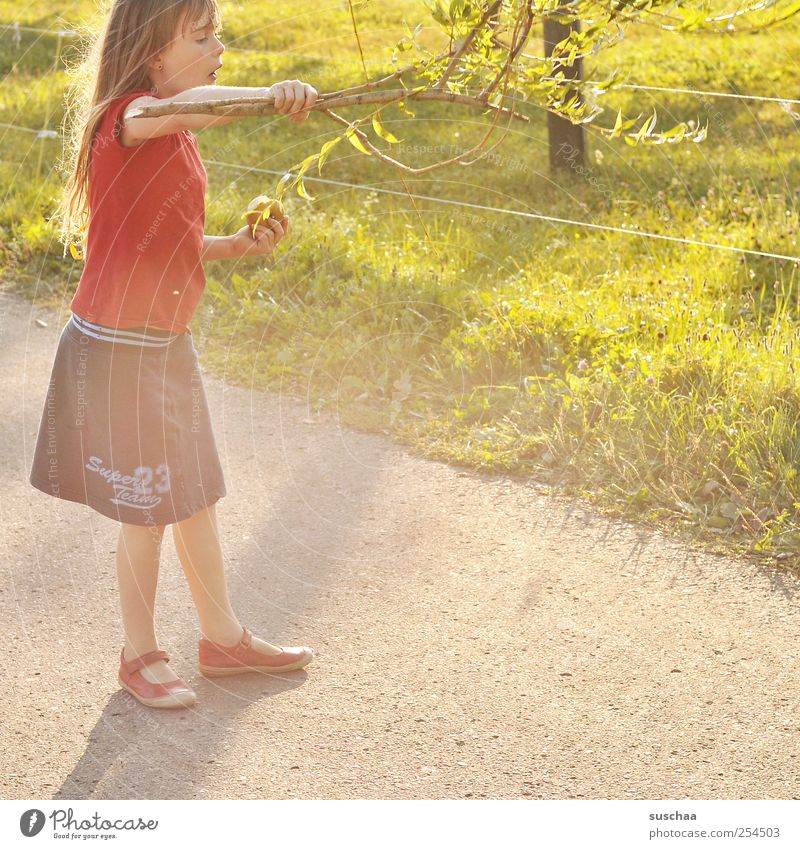 mädchen spielt mit einem ast | chamansülz Kind Mädchen Kindheit Haut Kopf Haare & Frisuren Gesicht Arme 1 Mensch 3-8 Jahre Umwelt Natur Sonnenlicht Sommer Klima