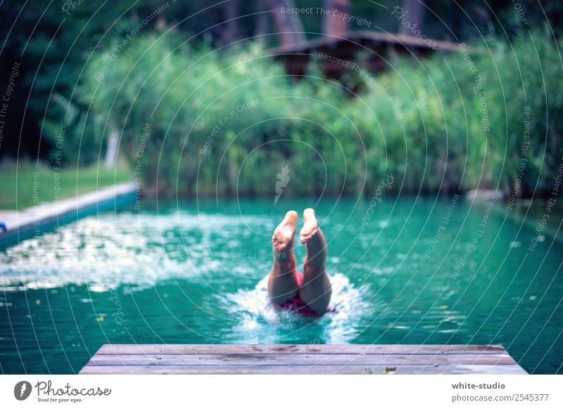 Abkühlung Frau Erwachsene Schwimmen & Baden Natur Schwimmbad Naturpool Naturbecken Schilfrohr springen ins Wasser springen Badewanne Kopfsprung Kühlung