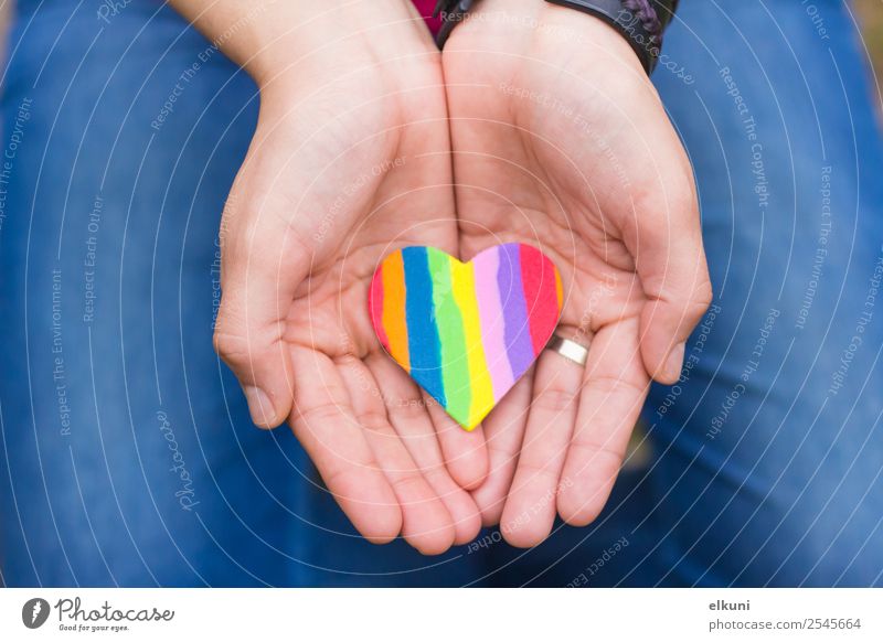 Hände, die ein Regenbogenherz zeigen, scharf geschliffen. Business Mensch Homosexualität Hand Finger Herz Liebe rot weiß Pflege Geschenk Valentinsgruß Halt lgbt