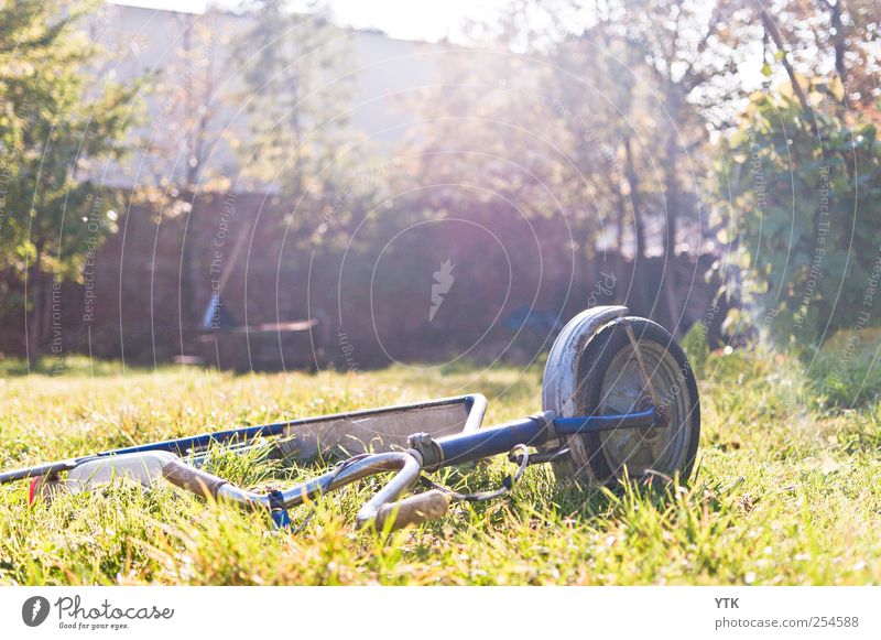 Liegen gelassen II Umwelt Natur Landschaft Pflanze Sonne Sonnenlicht Herbst Schönes Wetter Baum Gras Park Wiese hell Tretroller Spielzeug vergessen alt Rost