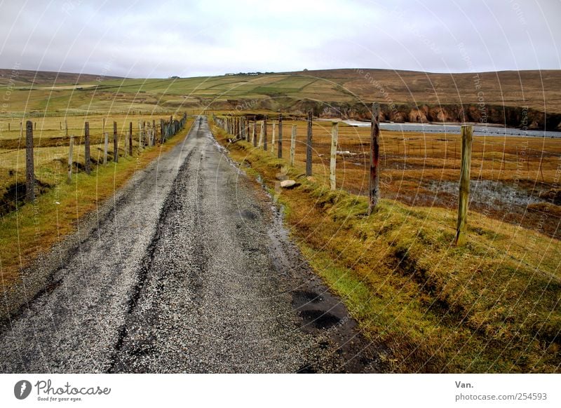 World full of Nothing Umwelt Natur Landschaft Erde Luft Himmel Wolken Gras Moos Hügel Republik Irland Straße schön grau grün Ferne Zaun Zaunpfahl