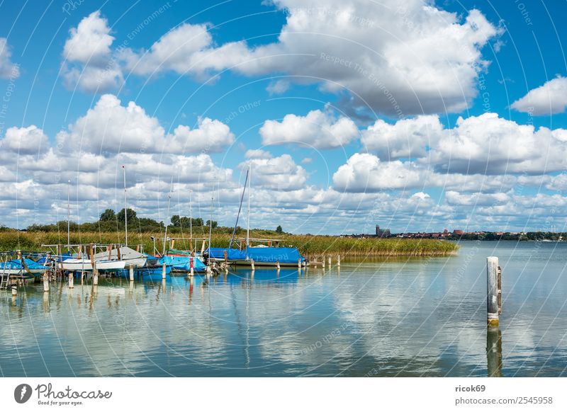 Boote am Unterucksee in Röpersdorf Erholung Ferien & Urlaub & Reisen Natur Landschaft Wolken Baum See Hafen Segelboot Wasserfahrzeug Jachthafen blau grün Idylle