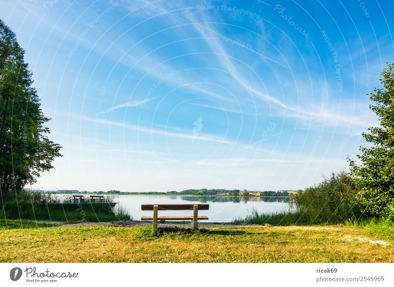 Landschaft mit See in Potzlow Erholung Angeln Ferien & Urlaub & Reisen wandern Natur Wolken Baum blau grün Idylle Pause Tourismus Uckermark Schilfrohr Ufer