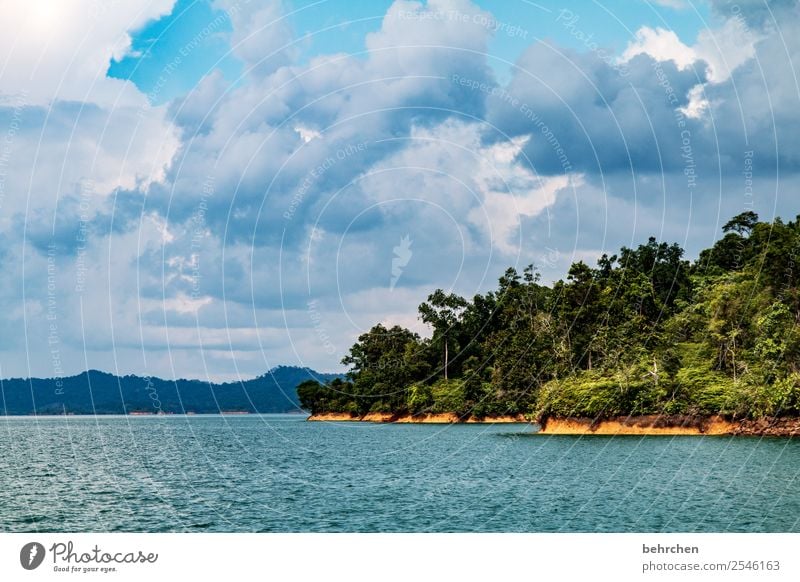 abenteu(r)er Ferien & Urlaub & Reisen Tourismus Ausflug Abenteuer Ferne Freiheit Natur Landschaft Wasser Himmel Wolken Pflanze Baum Sträucher Urwald Wellen See