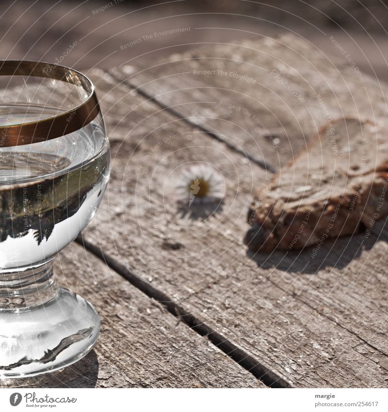 Wasser und Brot auf einem rustikalen Holztisch und ein Gänseblümchen Ernährung Diät Getränk Trinkwasser Wein Glas sparen Übergewicht Tisch trinken